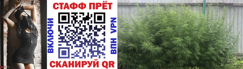 Наркотические вещества Ярославль Альфа ПВП Гашиш Псилоцибиновые грибы mega ссылки Каннабис COCAIN