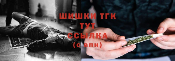 СК Богородицк