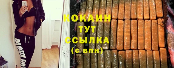 СК Богородицк