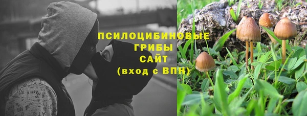 mix Богородск