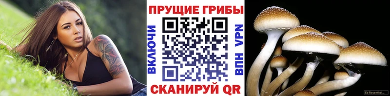 Псилоцибиновые грибы Cubensis  МЕГА маркетплейс  Ярославль 