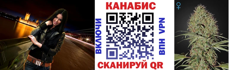 Конопля гибрид  Ярославль 